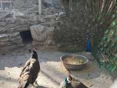 -廊坊市自然公园