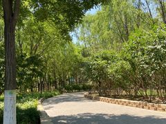 -大兴滨河森林公园