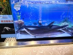 -伍棵煋炭烤自助料理·烤鳗鱼(浦东食品城店)