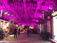 -婺源梦里老家大型山水实景演出