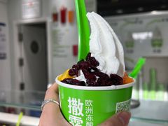 -Salud撒露欧洲冻酸奶(798艺术区店)