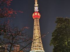-文华公园(禅城区)