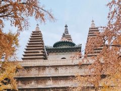 -北京石刻艺术博物馆(五塔寺)