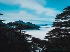 -黄山风景区