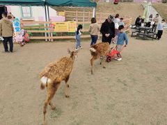 -盈香心动乐园