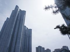 -广安大桥