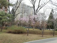 -迎泽公园
