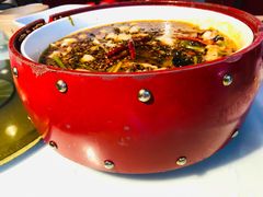 -金鼎轩(亚运村店)