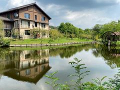 -黄陂区野村谷景区