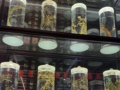 -广东中医药博物馆