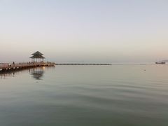 -苏州太湖国家湿地公园