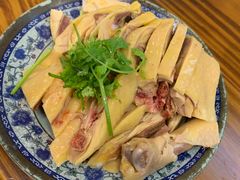 -九斤黄三黄鸡专卖店