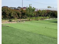 -小鱼草莓采摘园农家乐·小鱼餐厅