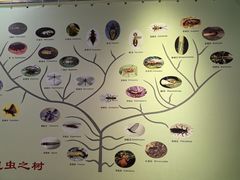 -上海昆虫博物馆