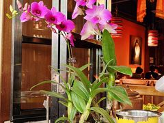 -缘生态云南菜·野生菌庭院餐厅(华侨城店)
