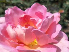 -人民公园(罗湖区)