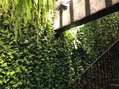 -外婆家(杭州马塍店·杭帮菜名店)