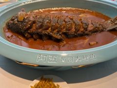 红烧黄河鲤鱼-阿五黄河大鲤鱼(纬三路店)