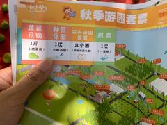 -前小桔亲子创意农场·草莓采摘·露营烧烤