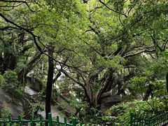 -乌山风景区