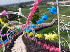 -衢州飞鸿滑草场