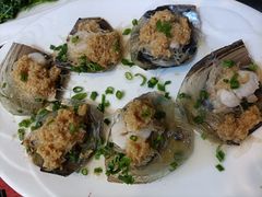 扇贝-渔友鲜海鲜加工(海鲜大世界店)