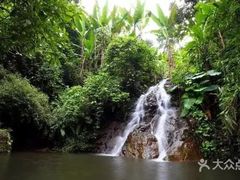 -三水森林公园