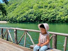 -龙道沟景区