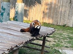 -泉州海丝野生动物世界