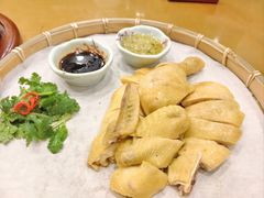 -永記粤菜·五指毛桃花雕鸡煲(九亭店)