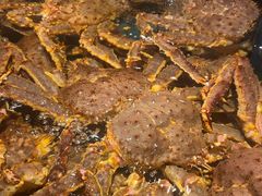 -龙宴海鲜城(经中路店)