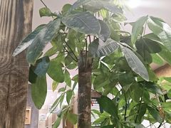 -艾柏堂8090经络·艾灸养生(御庭府邸店)