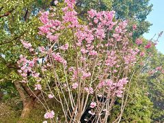 -梁鸿国家湿地公园