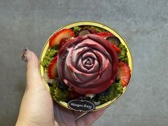 -哈根达斯(朝阳大悦城店)