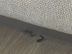 -青岛银沙滩温德姆至尊酒店