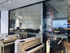 -柏斯琴行(汾阳店)