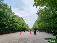 -玲珑塔公园