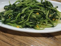 -老阿妈蒙古村·蒙古包·草原文化·歌舞表演(老君堂店)