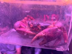 -华声天桥民俗文化园