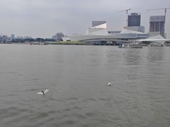 -白天鹅宾馆·流浮阁咖啡厅