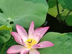 -合家亲妈妈菜·博山菜老字号(联通路店)