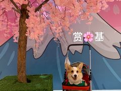 -深圳龙华星河COCO City(民治店)