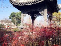 -无锡梁鸿湿地丽笙度假酒店·流觞西餐厅