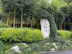 -十八棵（老龙井）御茶园(老龙井店)