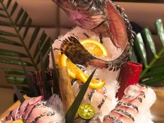 左口鱼-尚海豆捞(乐虹坊店)