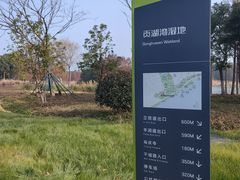 -贡湖湾湿地公园
