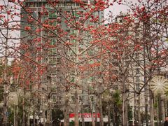 -白石龙音乐公园