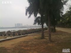 -万绿园