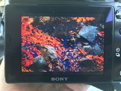 -丹东天桥沟景区