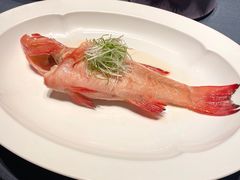 -子福慧(虹桥店)